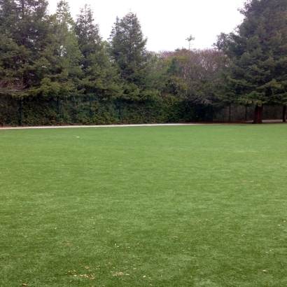 Artificial Grass Installation Camp Pendleton North, California Home And Garden, Parks