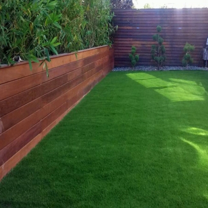 Artificial Grass Installation Encinitas, California Landscape Photos, Backyard Landscape Ideas