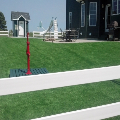 Artificial Grass Installation Poway, California Roof Top, Front Yard Landscape Ideas