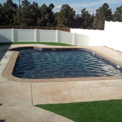 Artificial Grass Jacumba, California Paver Patio, Backyard Pool