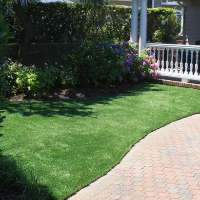 Artificial Grass La Presa, California Fake Grass For Dogs, Front Yard Ideas