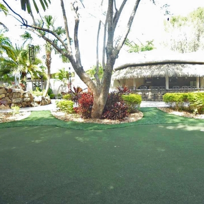 Artificial Grass Mount Laguna, California Landscaping, Commercial Landscape