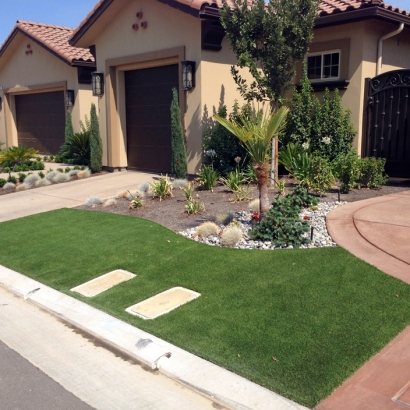 Artificial Grass Ramona, California Lawns, Front Yard Landscape Ideas