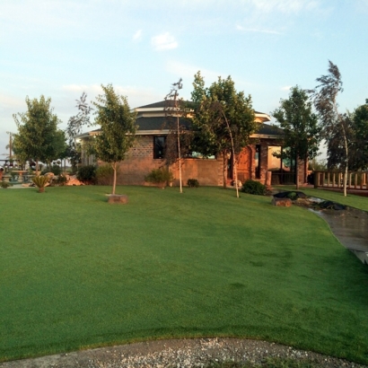 Artificial Grass Solana Beach, California Landscaping, Commercial Landscape