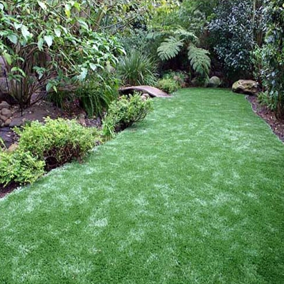 Artificial Lawn Bonita, California Lawns, Backyard Designs