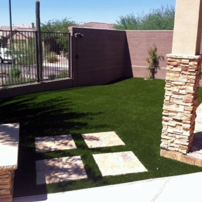 Artificial Lawn Bonsall, California Landscape Rock, Backyard Ideas