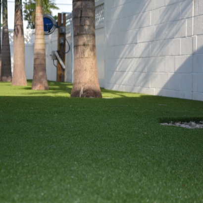 Artificial Lawn Chula Vista, California Landscape Design, Commercial Landscape