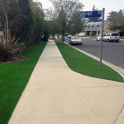 Artificial Lawn Encinitas, California Design Ideas, Front Yard Landscaping Ideas