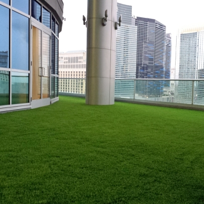 Artificial Lawn Eucalyptus Hills, California Home And Garden, Commercial Landscape