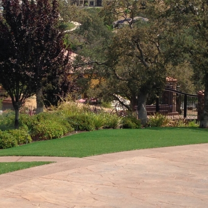 Artificial Lawn Jamul, California Home And Garden, Backyard Makeover