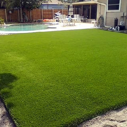 Artificial Lawn Lemon Grove, California Rooftop, Kids Swimming Pools