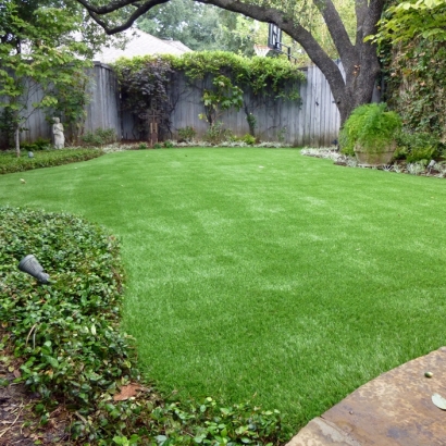 Artificial Lawn Lemon Grove, California Home And Garden, Backyards