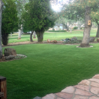 Artificial Lawn Vista, California Backyard Playground, Front Yard