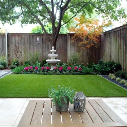 Artificial Turf Borrego Springs, California Garden Ideas, Backyards