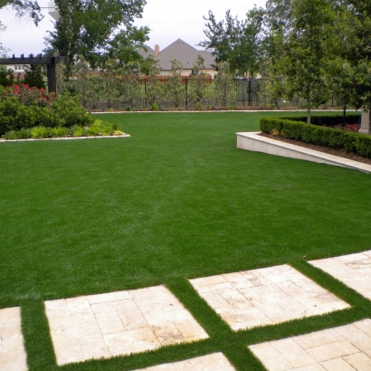 Artificial Turf Camp Pendleton North, California Landscape Design, Backyard Makeover