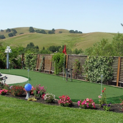 Artificial Turf Camp Pendleton South, California Outdoor Putting Green, Small Backyard Ideas