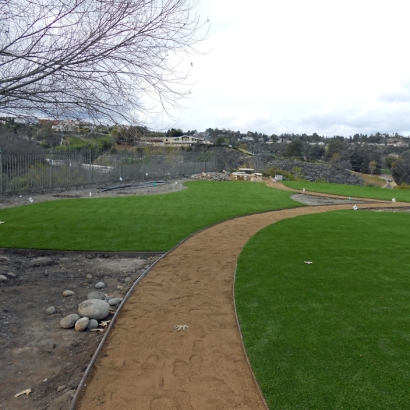 Artificial Turf Cost Bonita, California Backyard Playground