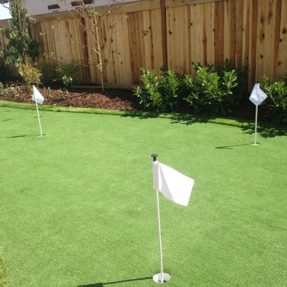 Artificial Turf Cost Bonsall, California Putting Green Carpet, Backyard Landscape Ideas