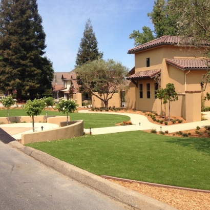 Artificial Turf Cost Bostonia, California Landscape Ideas, Front Yard