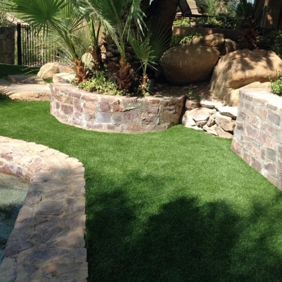 Artificial Turf Cost Coronado, California Artificial Turf For Dogs, Backyard Landscape Ideas