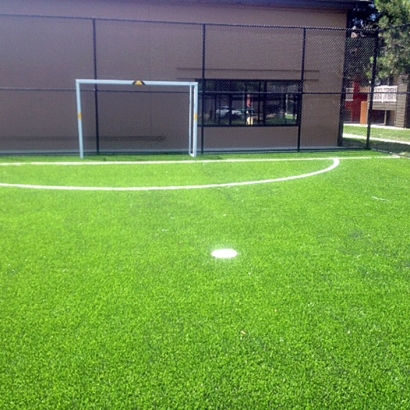 Artificial Turf Cost Descanso, California Landscaping Business