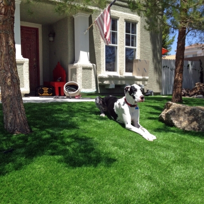Artificial Turf Cost Hidden Meadows, California Artificial Turf For Dogs, Grass for Dogs