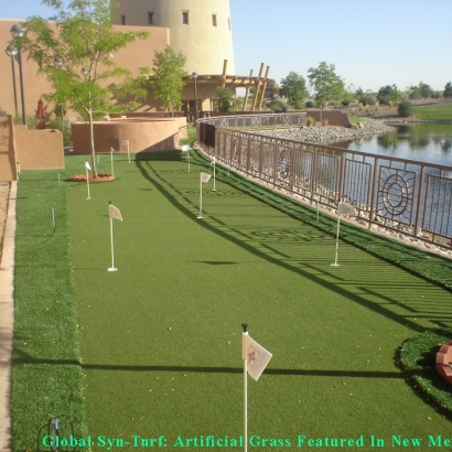 Artificial Turf Cost Imperial Beach, California Putting Green Grass, Backyard Garden Ideas