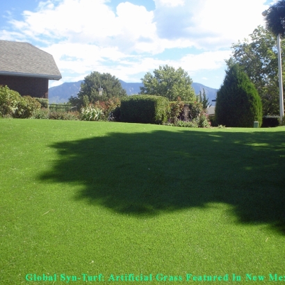 Artificial Turf Cost Lemon Grove, California Lawn And Landscape, Backyard Landscaping