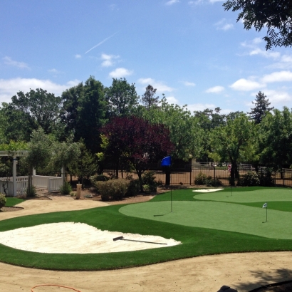 Artificial Turf Installation Boulevard, California Putting Green Grass, Front Yard Design