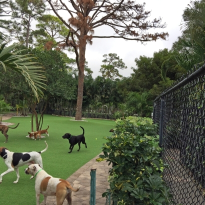 Artificial Turf Installation Mount Laguna, California Lawns, Commercial Landscape