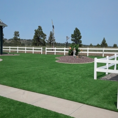Artificial Turf Installation Pine Valley, California Landscape Ideas, Landscaping Ideas For Front Yard