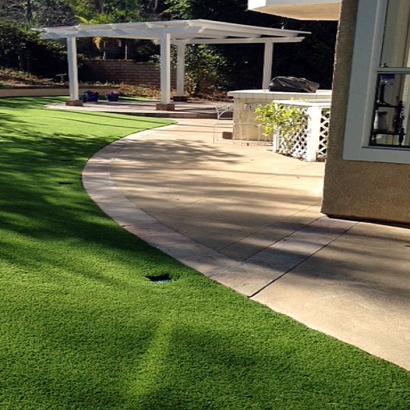 Artificial Turf Jacumba, California Roof Top, Small Front Yard Landscaping