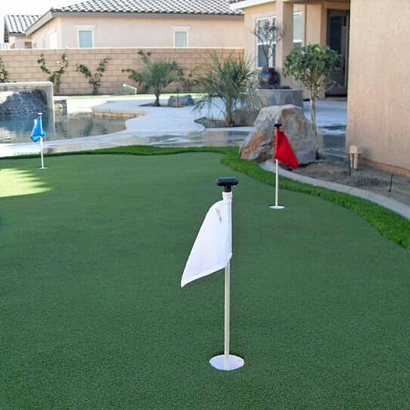 Artificial Turf Lakeside, California Backyard Playground, Backyard Ideas