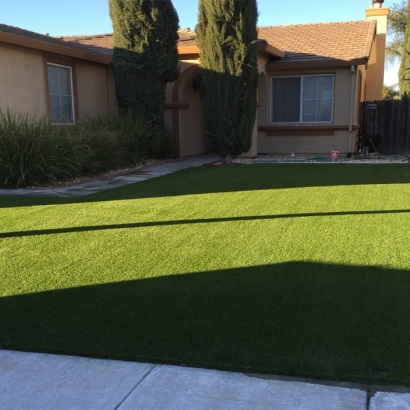 Artificial Turf Lakeside, California Lawns, Front Yard Ideas