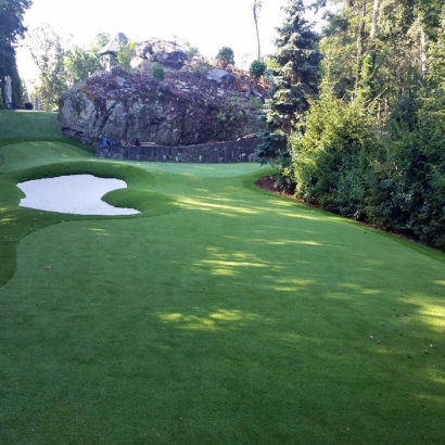 Artificial Turf Lakeside, California Putting Green Flags, Commercial Landscape