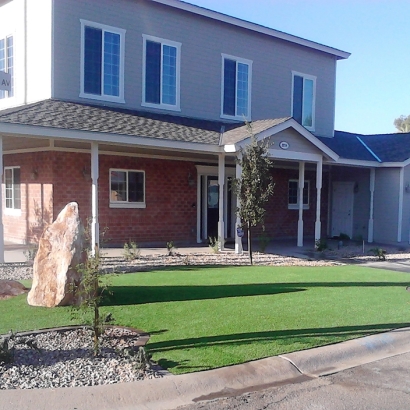 Artificial Turf Pine Valley, California Lawn And Landscape, Front Yard