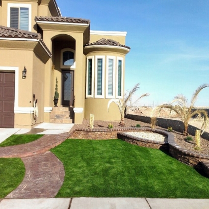 Best Artificial Grass Bonita, California Landscaping Business, Front Yard Landscape Ideas