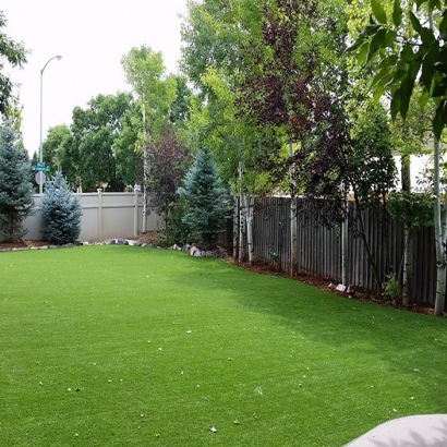 Best Artificial Grass Borrego Springs, California Pet Paradise, Backyard Designs