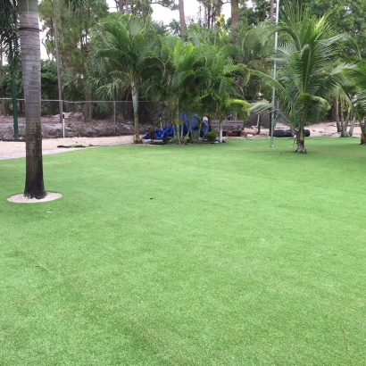 Best Artificial Grass Bostonia, California Landscaping, Commercial Landscape