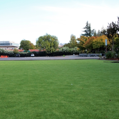 Best Artificial Grass Camp Pendleton South, California Landscape Rock