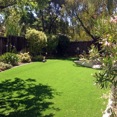 Best Artificial Grass Camp Pendleton South, California Roof Top, Backyard Designs