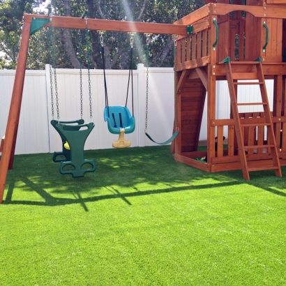 Best Artificial Grass Chula Vista, California Paver Patio, Backyard Garden Ideas