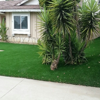Best Artificial Grass Descanso, California Backyard Playground, Front Yard