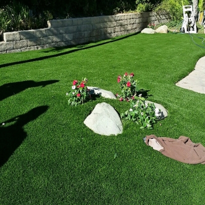 Best Artificial Grass Eucalyptus Hills, California Lawn And Garden, Front Yard Design