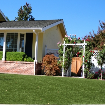 Best Artificial Grass Fairbanks Ranch, California Home And Garden, Small Front Yard Landscaping