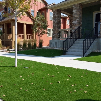 Best Artificial Grass Fairbanks Ranch, California Lawn And Garden, Front Yard Ideas