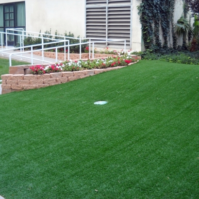 Best Artificial Grass Lakeside, California Putting Green Turf, Commercial Landscape