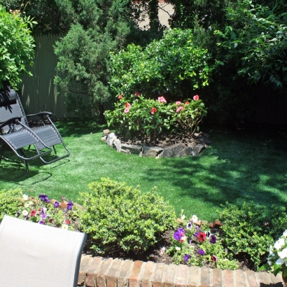Best Artificial Grass Lakeside, California Design Ideas, Backyards