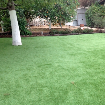 Best Artificial Grass Rancho San Diego, California Backyard Playground, Backyard Ideas