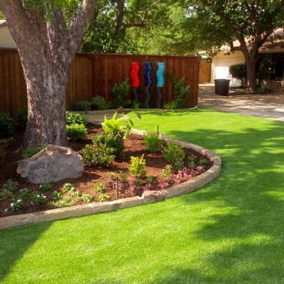 Fake Grass Campo, California Garden Ideas, Backyard Design